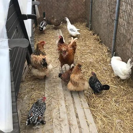 Alojamento de Turismo Rural Tiare Dal Gorc *